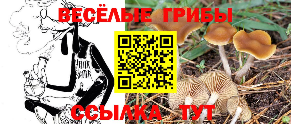 Псилоцибиновые грибы мухоморы  Галлюциногенные грибы GOLDEN TEACHER  Вход с VPN  Москва 
